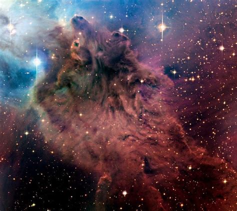 The Fox Fur nebula. : space