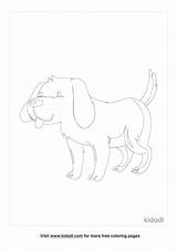 Floppy Ear Puppy Coloring Page  Kidadl sketch template