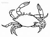 Printable Crab Coloring Pages For Kids sketch template