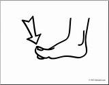 Clip Art Basic Words Toe coloring Page I Abcteachcom sketch template