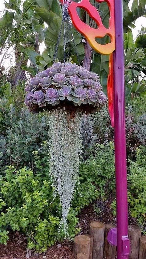 36 Beautiful Succulent Garden | Plants, Hanging garden, Vertical vegetable gardens