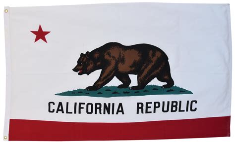 Large Vintage California Republic State Bear Flag | Chairish