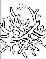Seaweed Coloring Pages sketch template