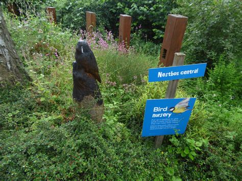 RSPB Wildlife Garden - Flatford Mill - bird nursery wooden… | Flickr