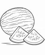 Printable Watermelon coloring Page  Download Print Or Color Online sketch template