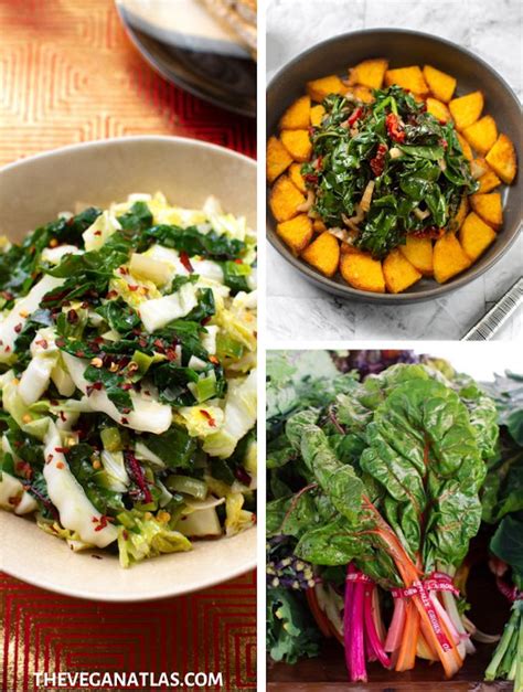 19 Chard Recipes — Tasty Ways to Enjoy an Abundant Leafy Green