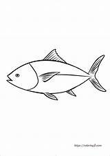 Fish Coloring Pages  39 Free Printable Sheets sketch template