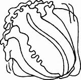 Romaine Lettuce Coloring Page sketch template
