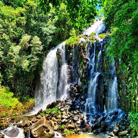 Atherton Tablelands Waterfalls