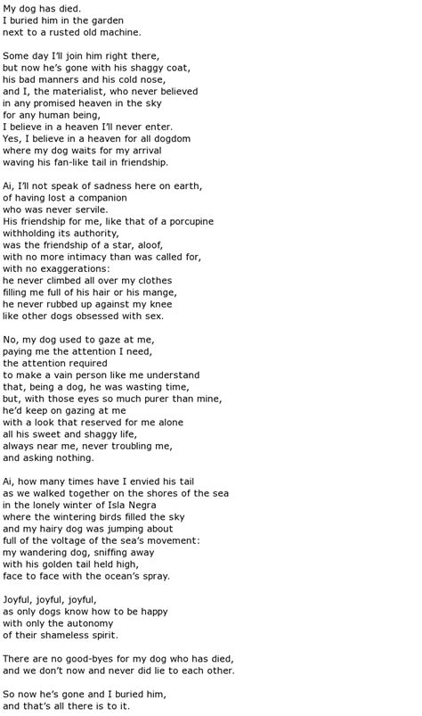 Pablo Neruda Poems > My poetic side