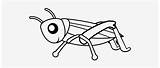 Cricket Coloring Insect Drawing Crickets Results Getdrawings Sketch  sketch template