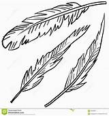 Bird Feather Coloring Pages sketch template