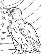 Eagle With Flag coloring Page  Download Print Or Color Online For Free sketch template