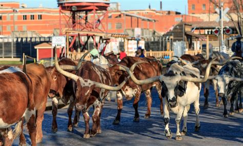 Fort Worth Stockyards | Stockyards