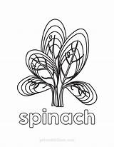Spinach Coloring Pages  Nation sketch template