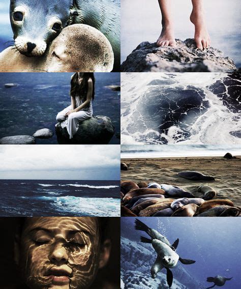 21 Best Selkie images in 2020 | Merfolk, Cute seals, Mythology