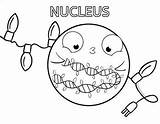 Amoeba Sisters Organelle Holiday Coloring Book By LLC sketch template