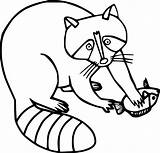 Coloring Pages Raccoon Printable For sketch template