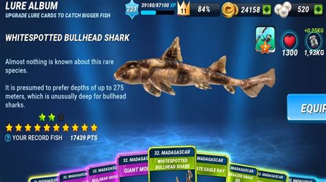 I Bought The New Whitespotted Bullhead Shark - Fishing Clash Gameplay Ep297 - YouTube