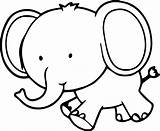 Elephant Coloring Pages  Free Download On ClipArtMag sketch template