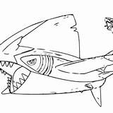 Sharpedo Coloring Pages Printable For Free Download sketch template