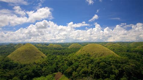 Chocolate Hills, Bohol, nature, landscape, forest, mountains HD wallpaper | Wallpaper Flare