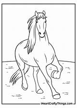 25 Free Horse Coloring Pages For Kids And Adults  Blitsy sketch template