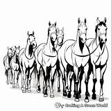 Herd Of Horses Coloring Pages  Free & Printable sketch template