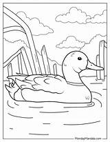 28 Cute Duck Coloring Pages Free PDF Printables sketch template