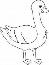 Goose Coloring Page Isolated For Kids Line Swan Poultry Vector  sketch template