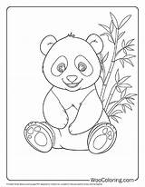 100  Panda coloring Pages Free PDF To Print Woo Coloring sketch template
