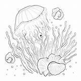 Sea Coral Coloring Pages Images  Free Download On Freepik sketch template