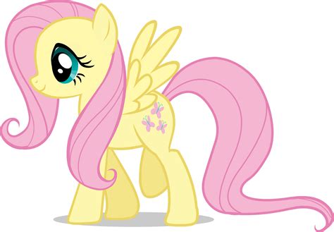 fat my little pony fluttershy Book Covers