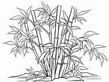 Relaxing Bamboo Coloring Page  sketch template