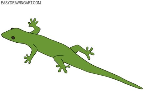 How to Draw a Lizard | Easy Drawing Art | Easy drawings, Cute lizard, Cartoon lizard