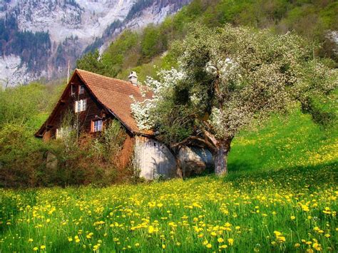 photography, Nature, Landscape, Cottage, Flowers, Spring, Mountains ...