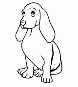 Basset Hound Coloring Pages  Best For Kids sketch template