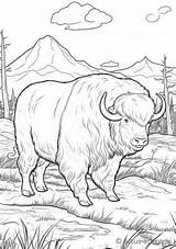 Musk Ox Coloring Page For Kids » Free Download Artus Art sketch template