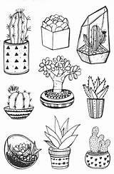 Cactus coloring pages – Artofit sketch template