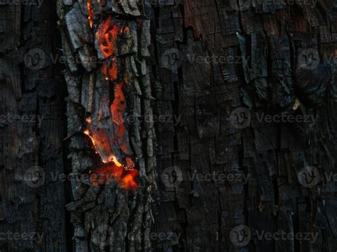 burned wood texture background 20567776 Stock Photo at Vecteezy