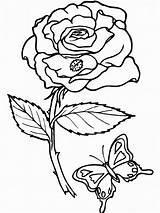 Free Printable Roses Coloring Pages For Kids sketch template