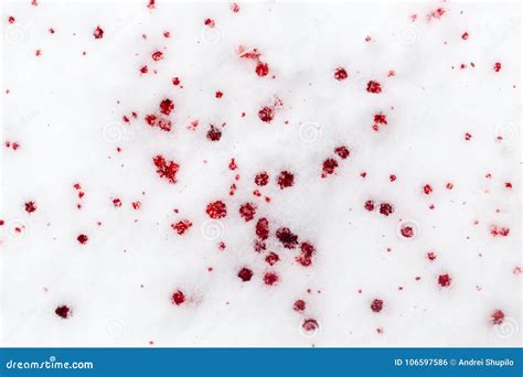 Red blood on the snow stock photo. Image of drop, spray - 106597586