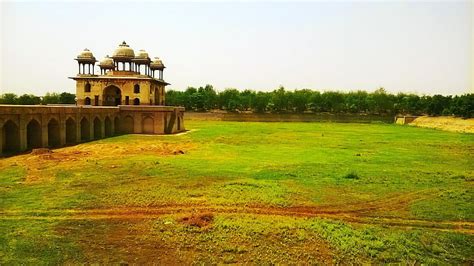 1080x2340px | free download | HD wallpaper: grass, tree, narnaul, jal mahal, mohalla purani ...