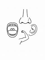 Nose Coloring Pages For Kids sketch template