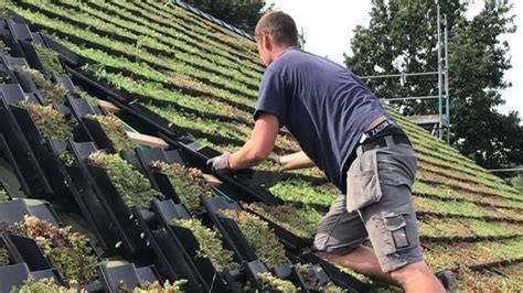 Dutch invent green roof tiles that can turn even pitched roofs into green roofs - BrightVibes