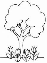 Elm Tree Coloring Pages At GetColoringscom  Free Printable Colorings sketch template