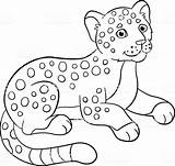 Cute Jaguar Coloring Pages sketch template
