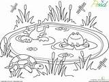Pond Coloring Page sketch template