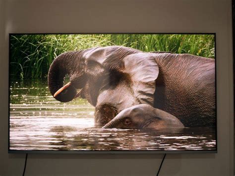 Xiaomi Mi QLED TV 4K 55 review: Setting a new standard for premium TVs ...