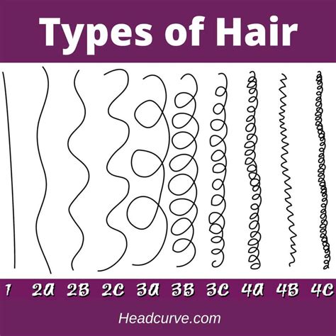 14 Types of Women’s Hair – Do You Know Them All? – Headcurve